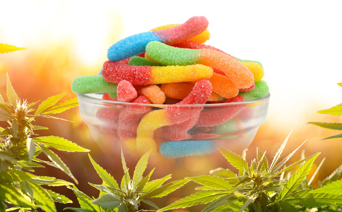 Benefits of CBD Edibles